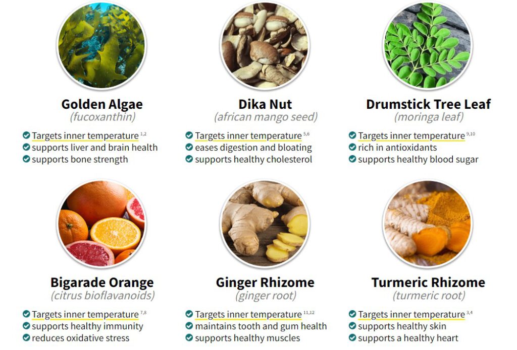 alpilean ingredients 