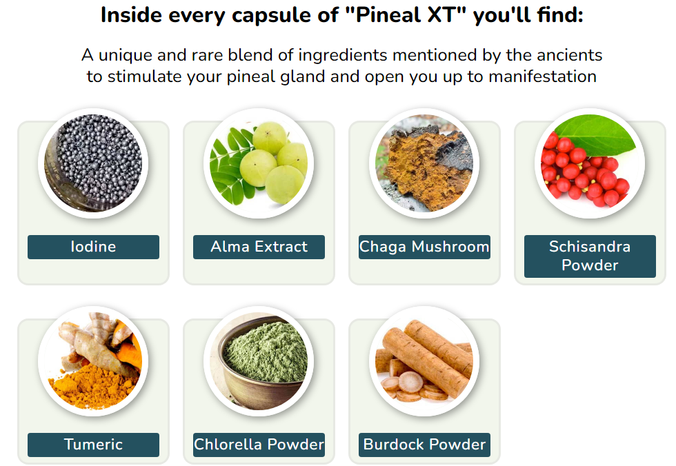pineal xt ingredients